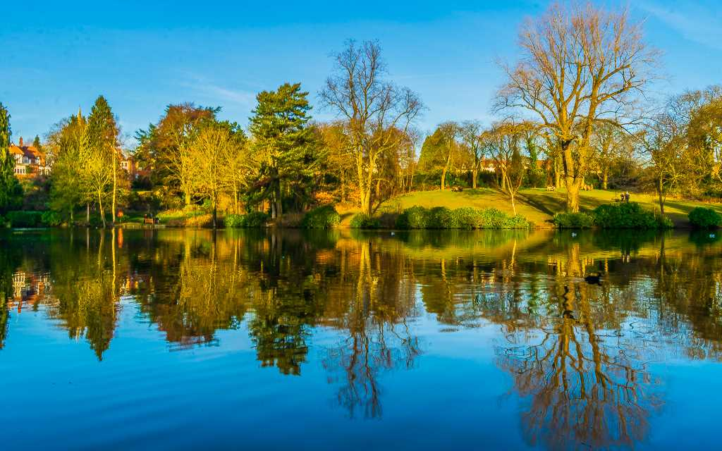 Where to go for a relaxing walk in Birmingham