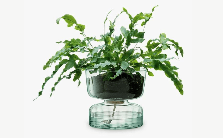 LSA glass self watering planter 